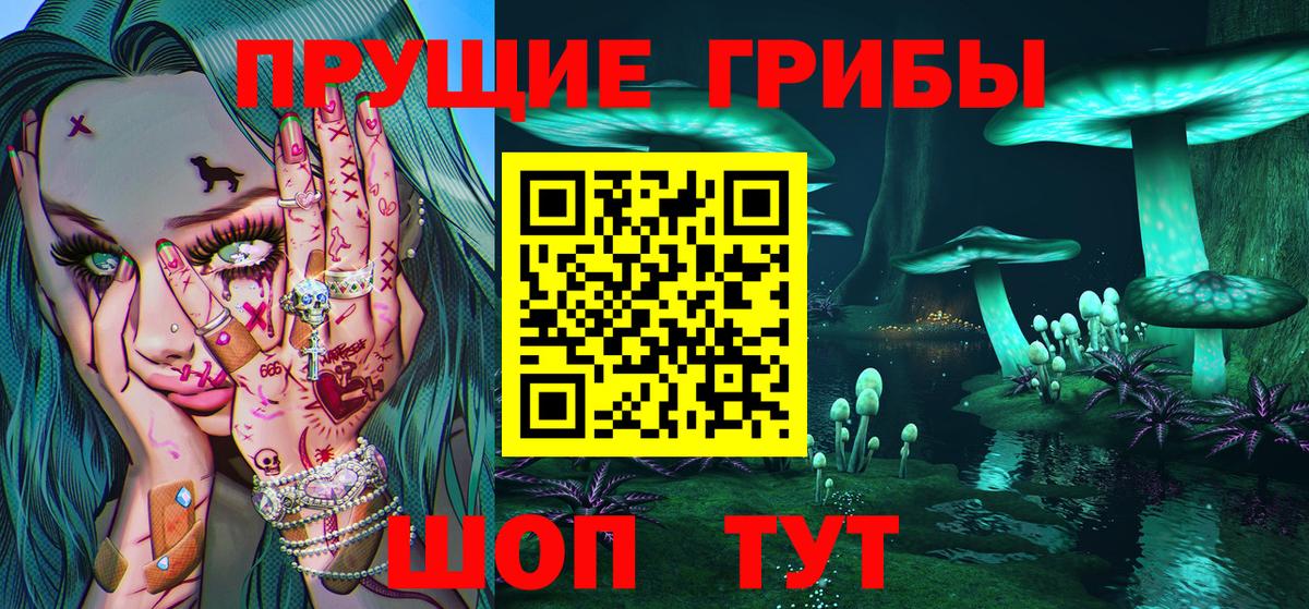 Шатура  Галлюциногенные грибы ЛСД  купить наркоту  Вход с VPN 